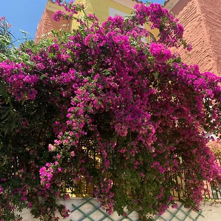 Residenza Il Melograno Tatil Evi *